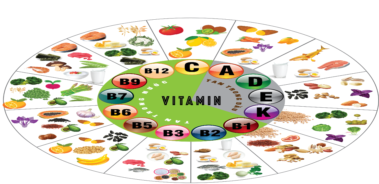 Vitamin và những điều cần biết